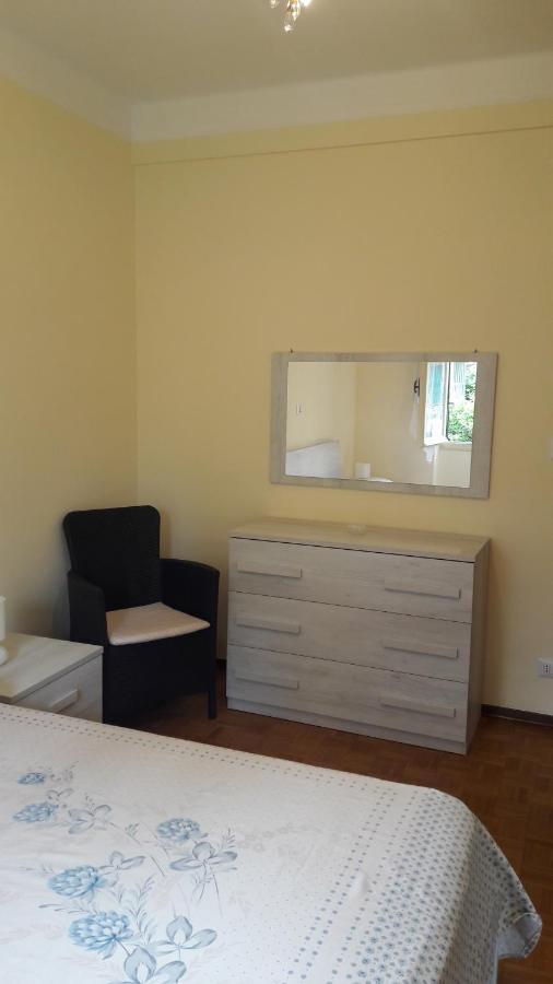 Bouganville Sanremo