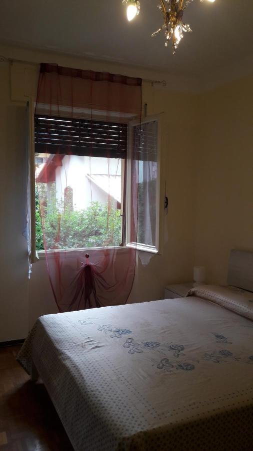 Bouganville Sanremo