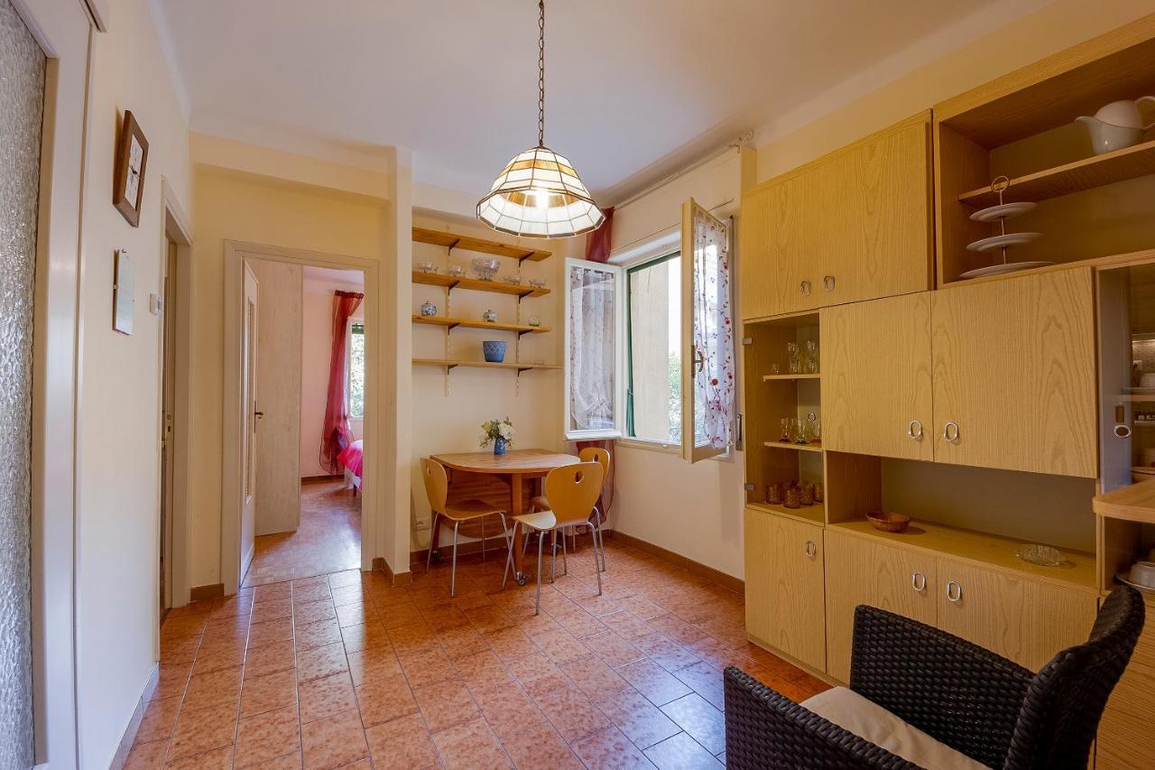 Bouganville * Sanremo